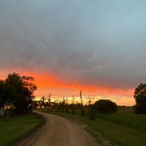 Meet your Posher, Bridget